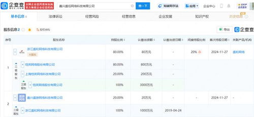 愷英網(wǎng)絡(luò)嘉興布局 投資成立網(wǎng)絡(luò)科技公司，拓展信息技術(shù)咨詢(xún)服務(wù)新賽道